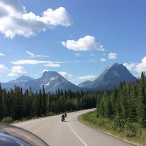 Meet your Posher, Shelia